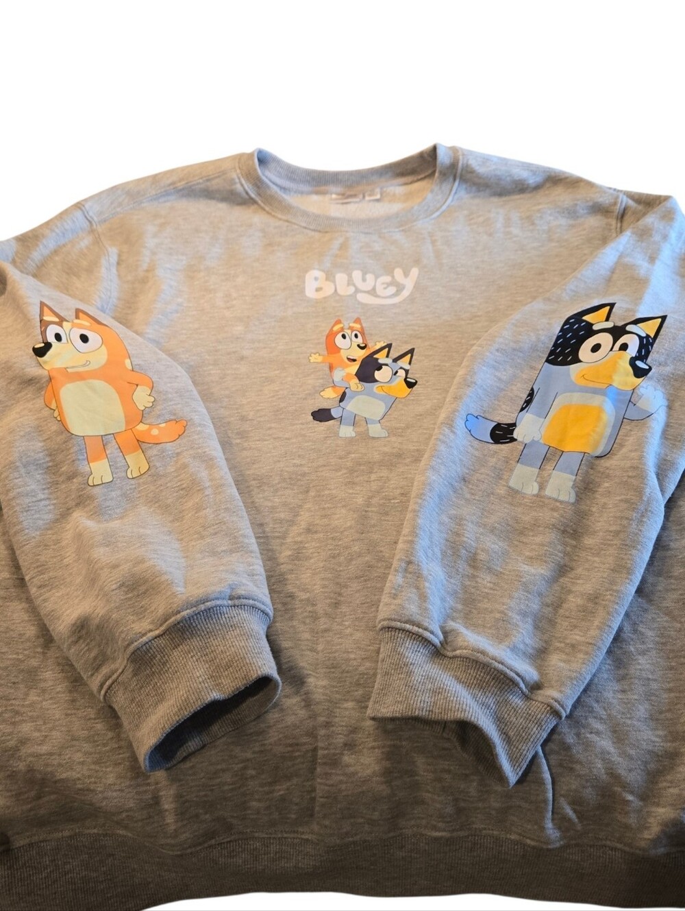 Bluey Sweatshirt with Character Prints Size XXL